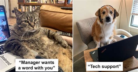 At discover, we treat you like you'd treat you. Still working from home? Use these memes to describe the ...
