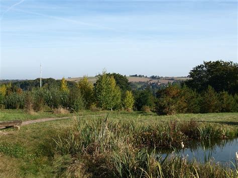 Der begabungslotse feiert 2021 seinen 10. Forstbotanischer Garten Tharandt