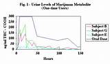 Pictures of Marijuana Urine Detection Time