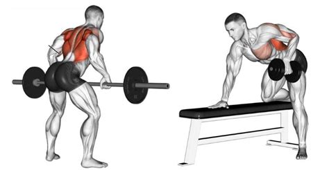 How To Perform Barbell And Dumbbell Bent Over Row With Proper Form