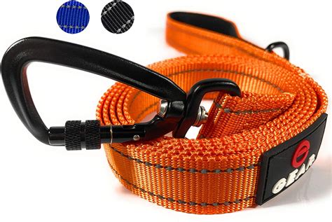 Enthusiast Gear Nylon Dog Leash With Locking Carabiner For Large And