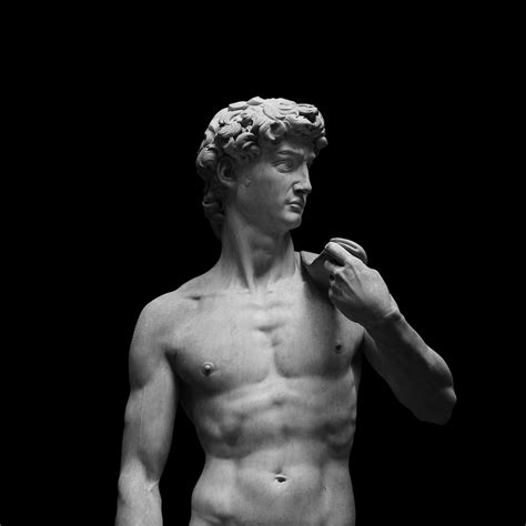 David Of Michelangelo Sculpture Italian Statue Poster Wall Etsy
