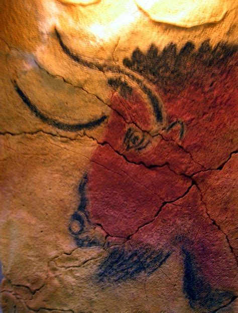 Overige Uitingen Kunst Grottekening Paleolithic Art Ancient Art