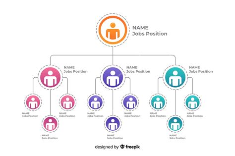 Premium Vector Organization Chart Infographic Vector Design Images