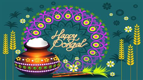 100 Pongal Backgrounds