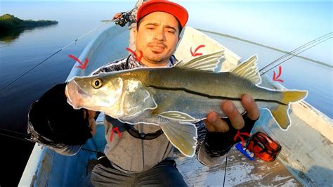 ⚡super Día De Pesca En CelestÚn Captura Record Jurel De 60cm