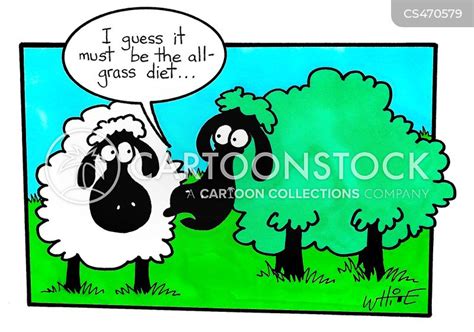 Animal Feed Cartoons and Comics - funny pictures from CartoonStock