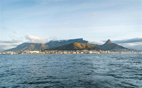 Cape Town Cruise And Dine Package Skippers Choice Musement