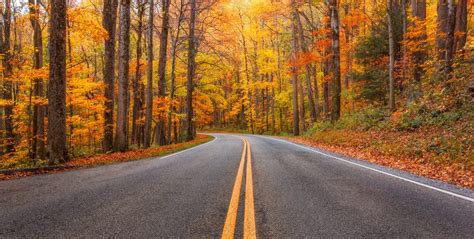 Your Ultimate Guide To The Smoky Mountains Fall Colors