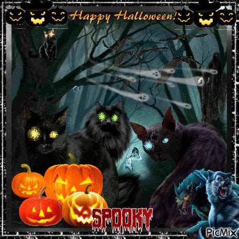A Spooky Halloween  Animated Pictures Photos And Images For