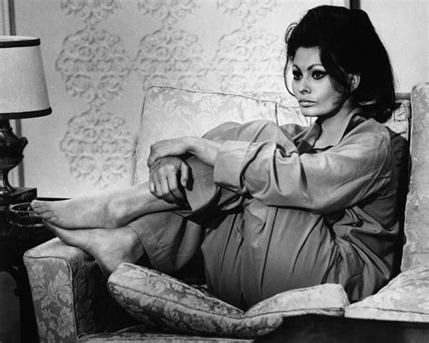Sophia Loren Feet Starlight Celebrity