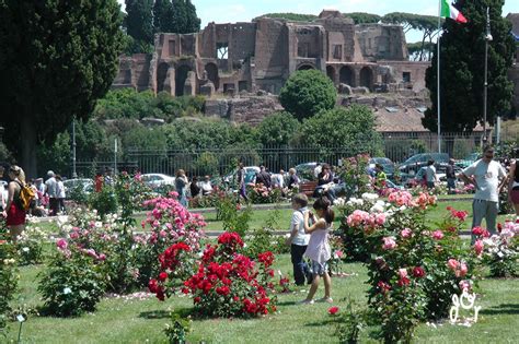 Maggio Il Roseto Di Roma E La Sua Storia Esploraroma