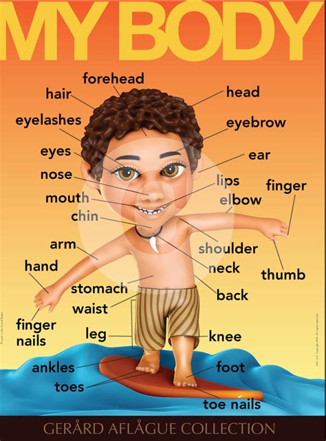 Chamorro Teach Me My Body Parts Male Teacher Classroom Poster