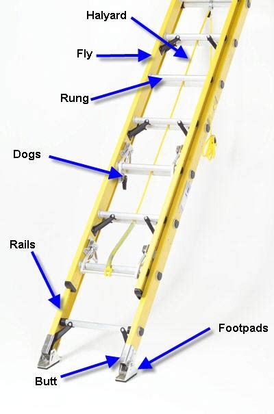 Buy Ladder Extension A Guide To Ladders Buy Ladder Extension