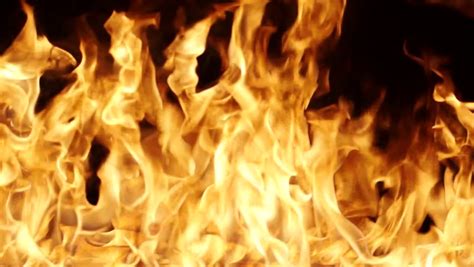 Real Fire Flames Isolated On Black Background Stock Footage Video