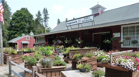 The apple barn in chatham, illinois features flowers and perennials, ceramic planters, garden supplies, a bakery, apples, pumpkins and christmas trees. ASPETUCK...Small Neighborhood In Easton And Weston CT