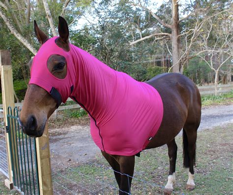 Lycra Horse Hood Hot Pink Super Horse Saddlery