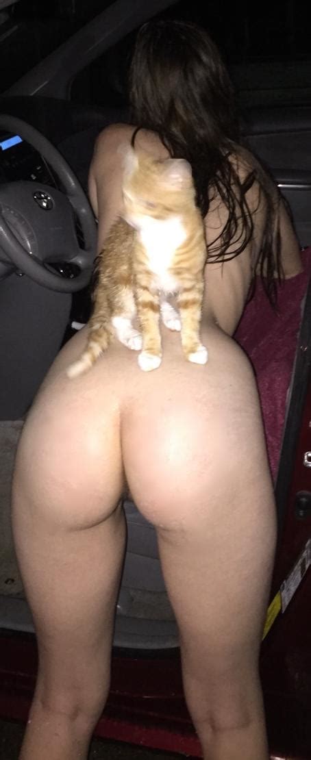 Cat On Her Back Porn Photo Eporner