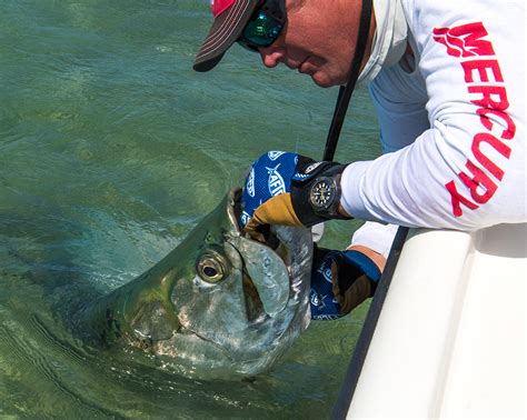 Properly Release A Tarpon Key West Fishing Report