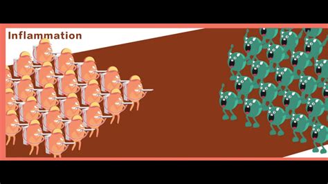 Wound Healing And Inflammation Technology Wound Healing Animation Tci