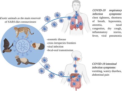 Frontiers Coronavirus Disease Covid 19 Caused By Sars Cov 2