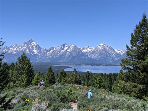 Grand Teton And Yellowstone National Parks Lets Go Explorin
