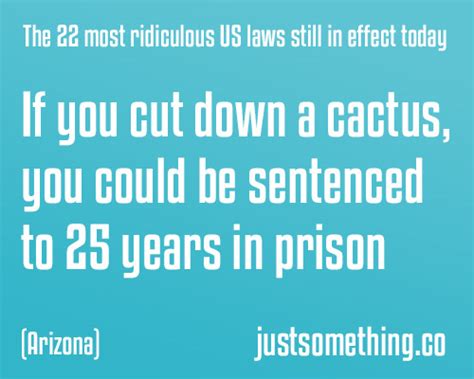 22 Weird And Crazy Us Laws Still In Effect Today