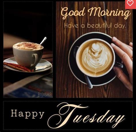 Happy Tuesday Pictures Good Morning Tuesday Images Happy Tuesday