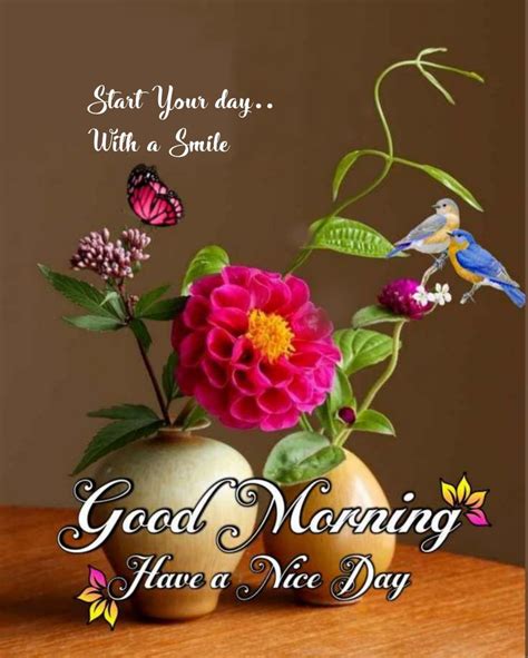 Pin By Suhana On Good Morning Good Morning  Flower Iphone