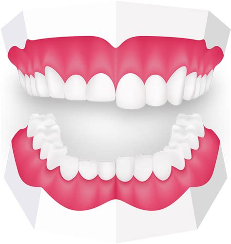 Download Healthy Teethand Gums Graphic