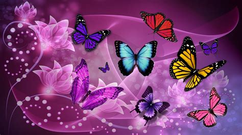Butterfly Fantasy | Butterfly wallpaper, Butterfly art, Butterfly wallpaper iphone
