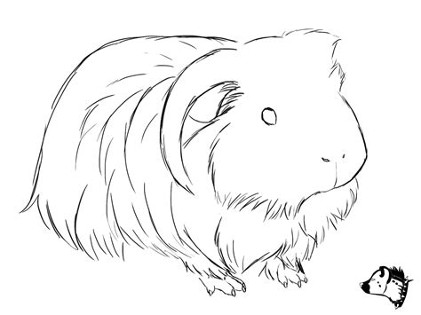 Habe süße junge meerschweinchen buben zu vergeben sie sind im alter von 7 bis 11 wochen ausmalbilder meerschweinchen in der rubrik ausmalbilder meerschweinchen zum ausdrucken. Sketch drawing from GuineaPig Town - would make a cute ...