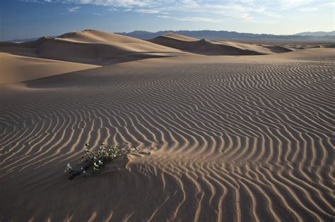 Cadiz Wilderness In The Desert In California Image Free Stock Photo
