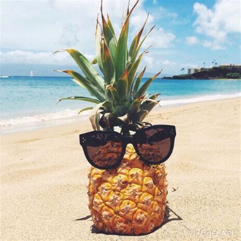 An Amazing Pineapple On The Beach Waiting To Be Eaten Pineapple
