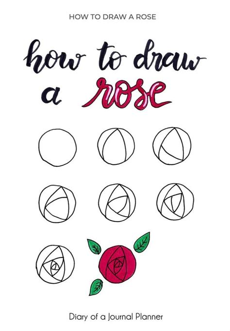 How To Draw A Rose Step By Step For Beginners The Smart Wander