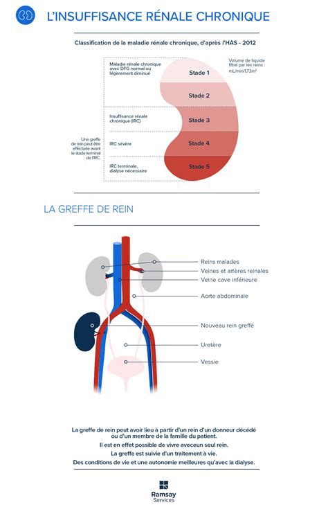 Insuffisance Rénale Quand Les Reins Ne Fonctionnent Plus