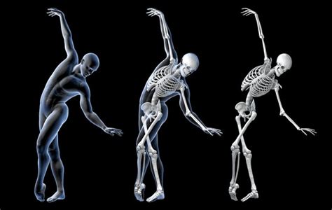99 Balance Skeleton Movement Royalty Free Images Stock Photos