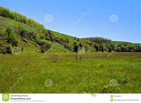 Landscape Of A Green Grassy Hills Valley Trees And Blue Sky Stock