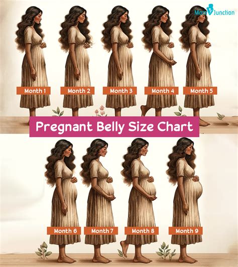 Pregnant Belly Size Chart And Shape Things You Should Know Momjunction