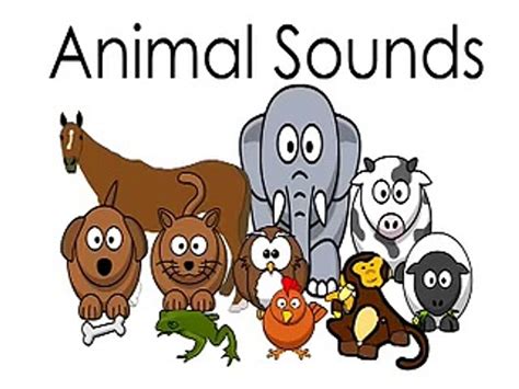 Animal Sounds Songs More Super Simple Songs For Kids Vidéo