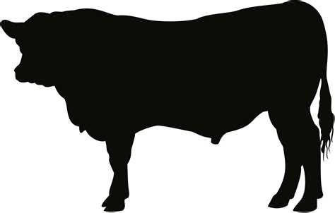 Free Images Angus Bull Cattle Cow Art Artwork Silhouette