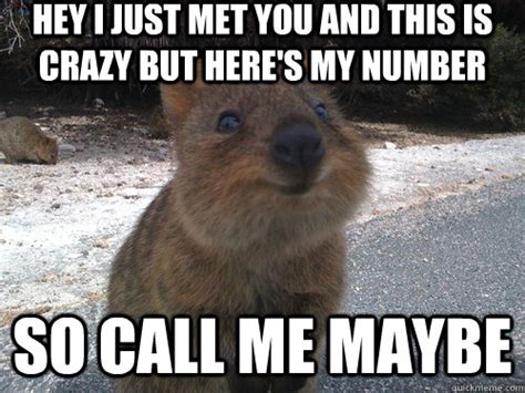 Hey I Just Met You And This Is Crazy But Heres My Number So Call Me Maybe Misc Quickmeme