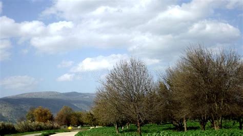 Hula Valley In Spring Colors Israel Stock Image Image Of