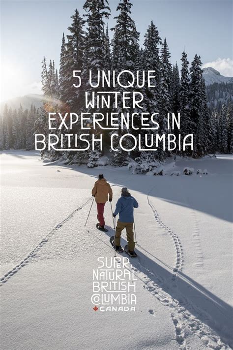 5 Unique Winter Experiences In Bc Vacation Trips Canada Travel