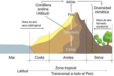 Influencia De La Altitud En Los Ecosistemas Actualizado Abril 2024