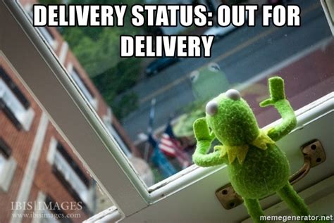 Delivery Status Out For Delivery Kermit Looking Out The