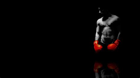 Boxing Ring Wallpaper 64 Images