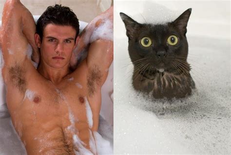 Handsome Men And Cute Kittens Join Forces On Tumblr Des Hommes Et Des