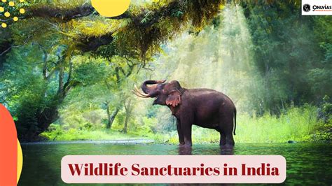 Complete List Of Wildlife Sanctuaries In India