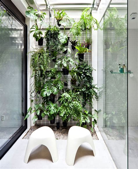 Spruce up bathroom corners with a plant. Best Bathroom Plants to Decorate your Modern Bath with ...